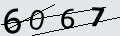 verifycode
